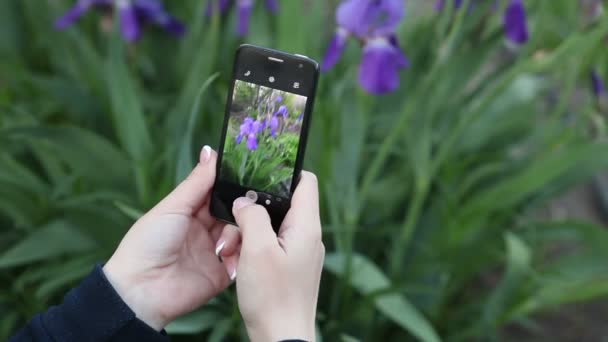 Meisje fotograferen bloeiende irissen telefoon. Close-up van de handen. — Stockvideo