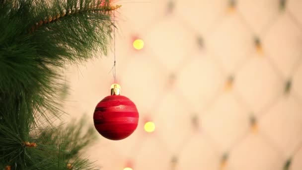 Bola roja colgando de un árbol de Navidad — Vídeos de Stock