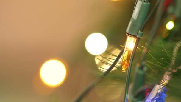 Blikající světlo Girlandy. makro. — Stock video