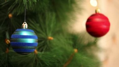 Mavi ve kırmızı topu bir Noel ağacı üzerinde.