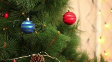 Mavi ve kırmızı topu bir Noel ağacı üzerinde.