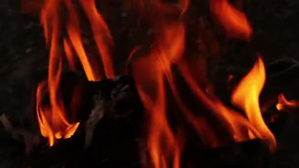 Orangefarbene Flammen. Brennendes Feuer — Stockvideo