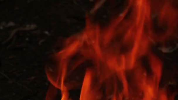 Fiamme arancioni. fuoco ardente — Video Stock