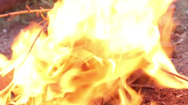 Brennholzstapel bricht stark aus — Stockvideo
