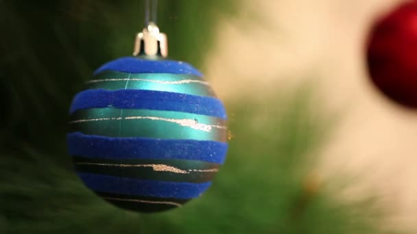 Bola azul e vermelha em uma árvore de Natal . — Vídeo de Stock
