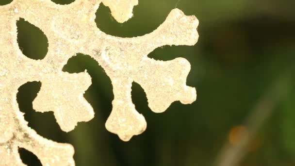 Natal ornamentos floco de neve pendurado em um ramo. Contexto — Vídeo de Stock