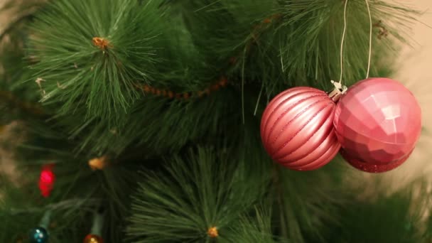 Un bouquet de boules rouges accrochées au sapin de Noël . — Video