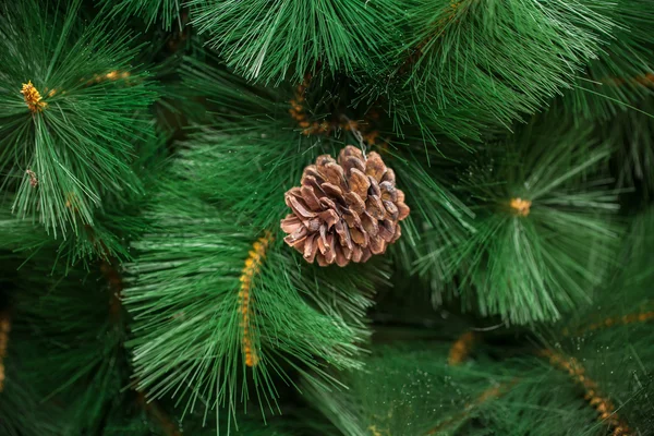 Cone de pinheiro em uma árvore de Natal. contexto — Fotografia de Stock