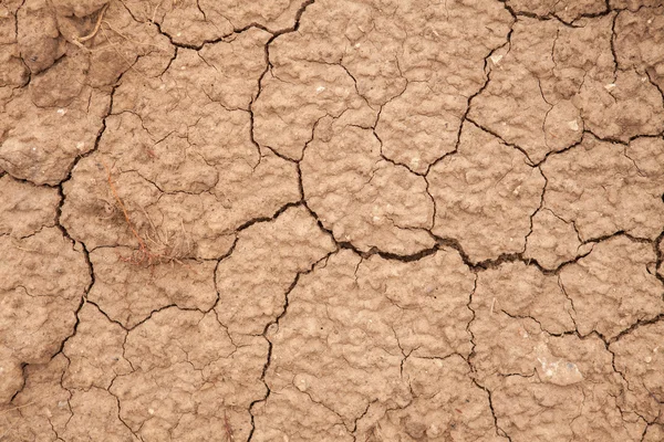 Terre fissurée sèche. contexte — Photo