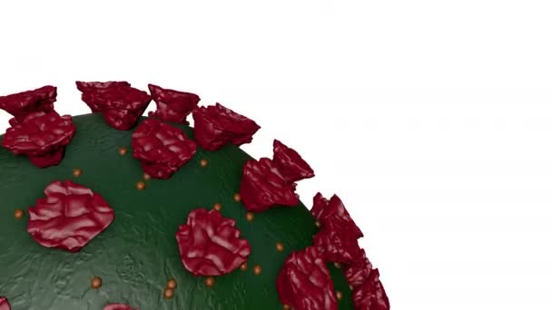 Анімована Модель Коронавірусів Білому Тлі Візуалізація — стокове відео