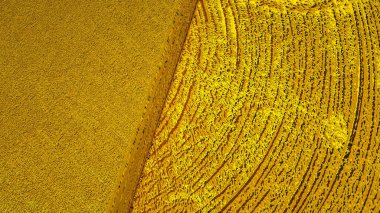 Altından yapılmış çalma tuşunun üç boyutlu modeli. 3d resimleme