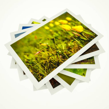 Beyaz arka planda beyaz çerçeveli doğa fotoğrafları yığını. 3d resimleme