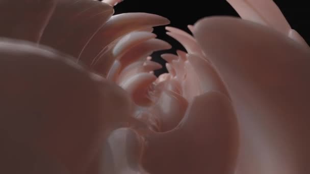 滑らかな3Dアニメーション肉色の表面 抽象的なループの背景 3Dレンダリング — ストック動画