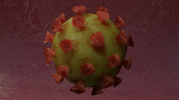 Das Modell Des Coronavirus Dreht Sich Langsam Looping Animation Das — Stockvideo