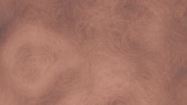 Движущиеся Облака Дыма Оранжевым Светом Зацикленный Анимированный Фон Рендеринг — стоковое видео