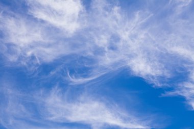 Mavi gökyüzü arka planında sirus bulutları