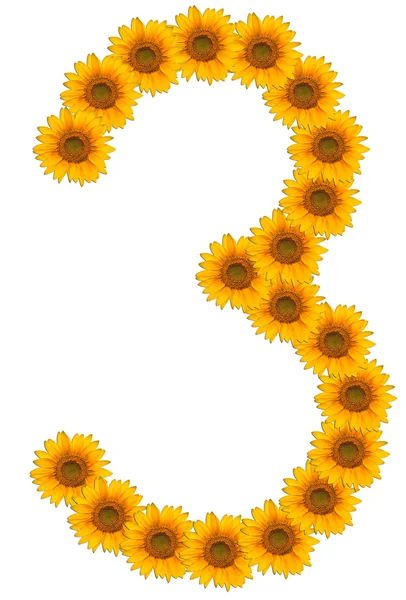 Numeri di fiori di girasole su sfondo bianco — Foto Stock