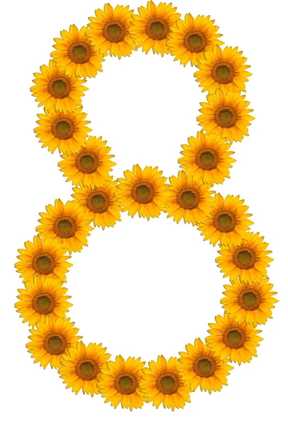 Numbers of flowers of sunflower on a white background — Stock Photo, Image