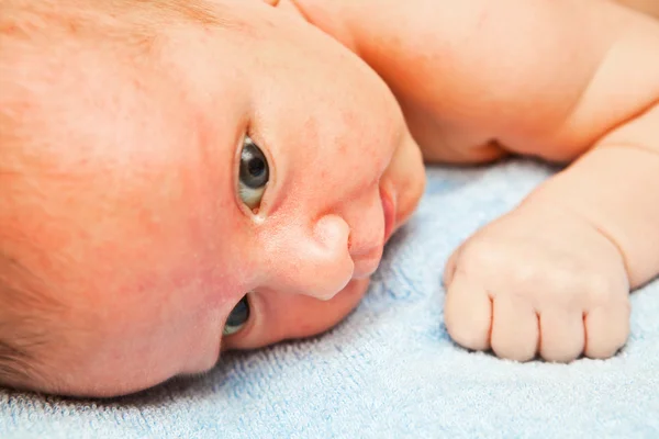 Neugeborener Junge liegt auf dem Handtuch und blickt in die Kamera — Stockfoto