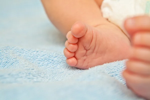 Новорожденные детские ноги показаны вблизи — стоковое фото