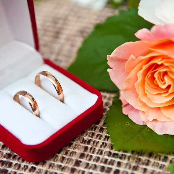 Anéis de casamento em uma caixa e boutonniere — Fotografia de Stock