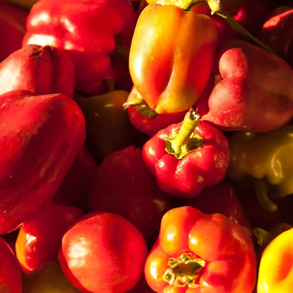 Raccolti un sacco di peperoni dolci sfondo, profondità di campo poco profonda — Foto Stock