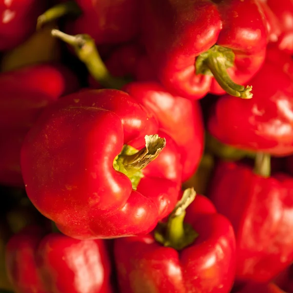 Raccolti un sacco di peperoni dolci sfondo, profondità di campo poco profonda — Foto Stock