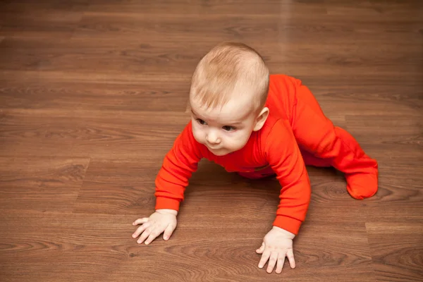 Bebê rastejando no chão de madeira Imagens Royalty-Free
