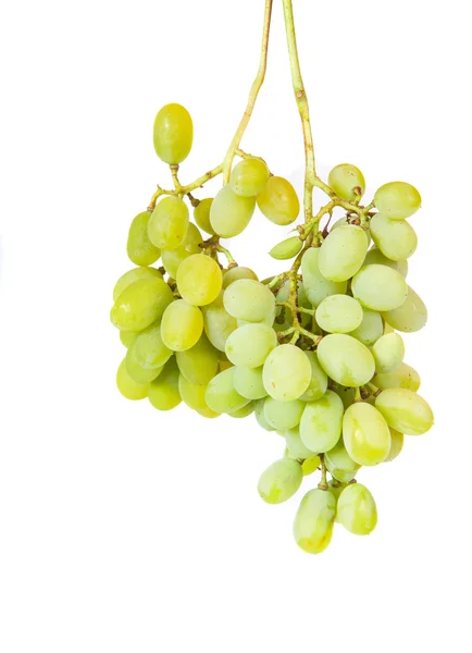 Bunch of green grapes isolated on a white background — Stock Photo, Image