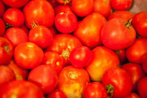 Sfondo da pomodori — Foto Stock