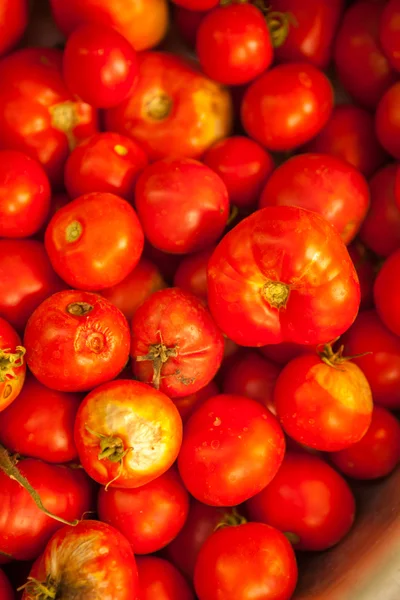 Hintergrund aus Tomaten — Stockfoto