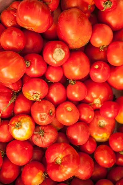 Hintergrund aus Tomaten — Stockfoto