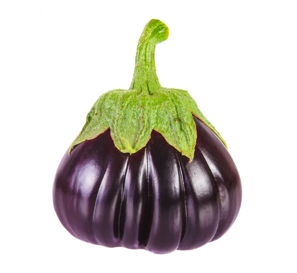 Eine frische Aubergine auf weißem Hintergrund — Stockfoto