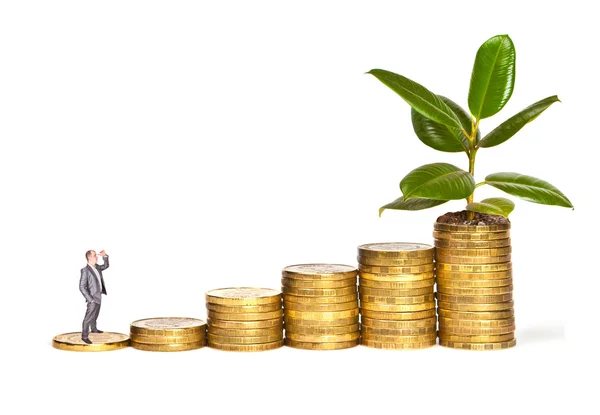 Businessman standing on a stack of coins with growing ficus on t — Stock Photo, Image