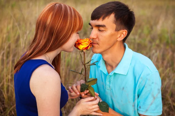 Молодая влюбленная пара смотрит на цветок в парке, крупным планом — стоковое фото