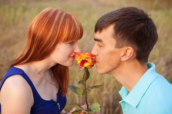 Молодая влюбленная пара смотрит на цветок в парке, крупным планом — стоковое фото