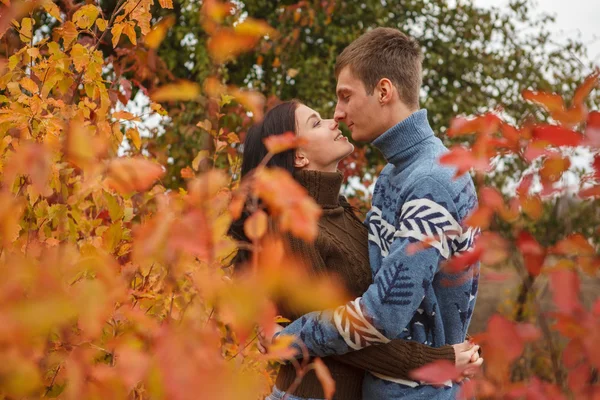 Casal amoroso em um parque ao ar livre — Fotografia de Stock