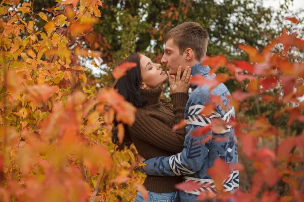 Coppia amorevole in un parco all'aperto — Foto Stock