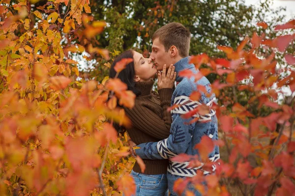 Couple aimant dans un parc en plein air — Photo