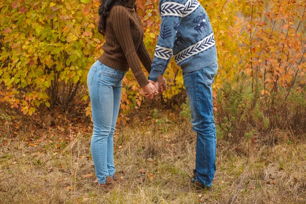 A loving couple holding hands in autumn park outdoors — Stock Photo, Image