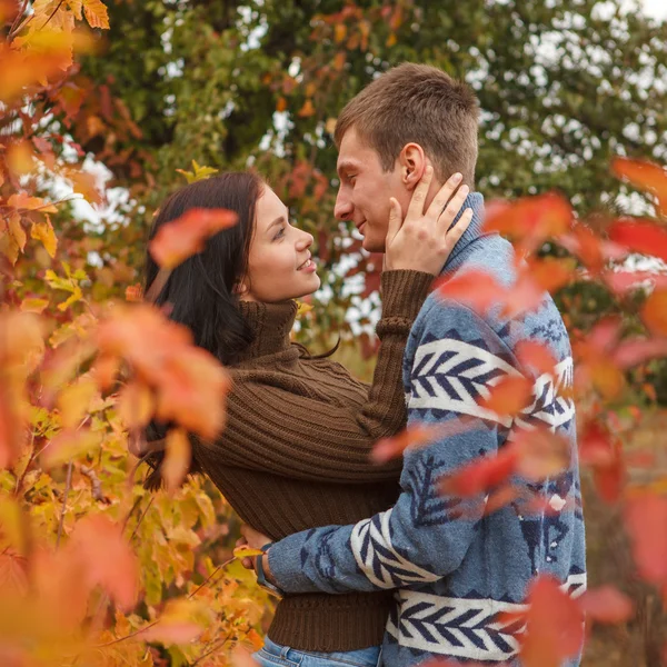 Pareja amorosa en un parque al aire libre —  Fotos de Stock