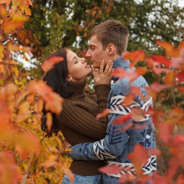 Couple aimant dans un parc en plein air — Photo