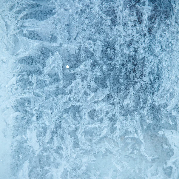 Frosting, background shallow depth of field — Stock Photo, Image