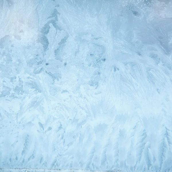 Frosting, background shallow depth of field — Stock Photo, Image