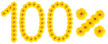 rakamlar % 100'ünü çiçek tarafından yazılmış mektuplar