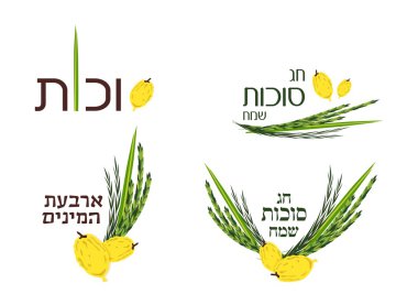 Sukkot, Yahudi Bayramı için etiket ve öğelerin toplanması.