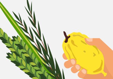 Sukkot Yahudi tatil. Lulav, Etrog, Arava ve Hadas. Dört tür semboller Tarih palm, ağaç kavunu, willow, Mersin