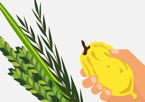 Vacanza ebrea Sukkot. Lulav, Etrog, Arava e Hadas. Quattro specie simboli data palma, cedro, salice, mirto — Vettoriale Stock