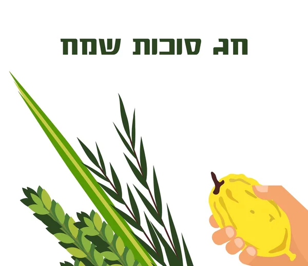 Joodse feestdagen Soekot. Torah met Etrog, Arava, Lulav, en Hadas. Vier soorten symbolen datum palm citron, wilg, mirte. — Stockvector