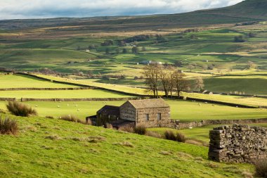 Rural view of the Yorkshire Dales clipart